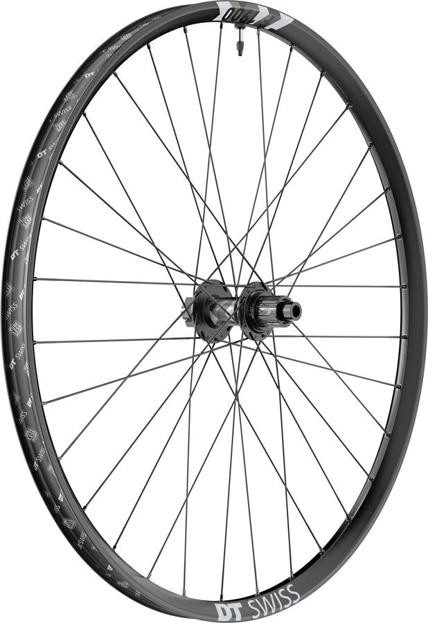 DT Swiss F 1900 Classic Rear Wheel - 29" - 12x148mm - 6-Bolt - Micro Spline - The Lost Co. - DT Swiss - W0F1900TFD2SA21559 - 7613052304045 -