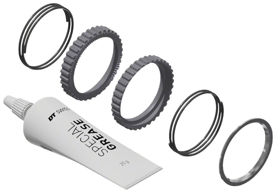 DT Swiss Ratchet DEG Service Kit - 72t - The Lost Co. - DT Swiss - HWYXXX00N6599S - 7613052542959 -