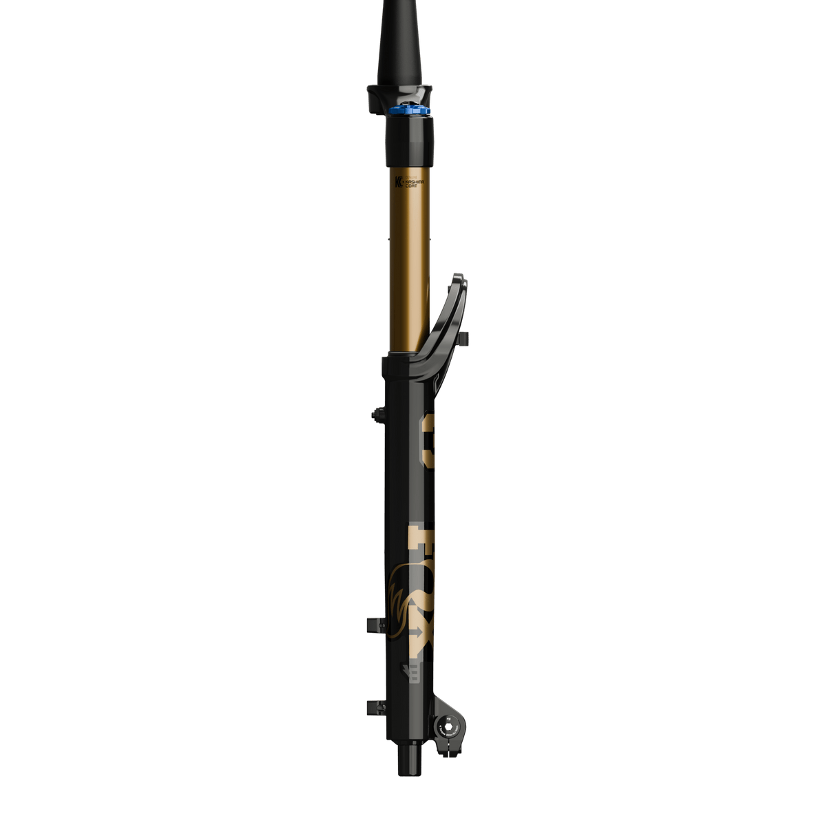 2026 Fox 36 Float E - Optimized Factory Fork - Kashima - 29" - Shiny Black - GRIP X - The Lost Co. - Fox Racing Shox - 910 - 21 - 348 - 821973504155 - 160 mm - 