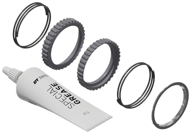 DT Swiss Ratchet DEG Service Kit - 72t - The Lost Co. - DT Swiss - HWYXXX00N6599S - 7613052542959 - 