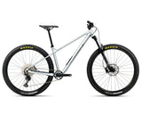 Orbea Laufey H30 - The Lost Co. - Orbea - 210000009965 -  - Smooth Silver / Titanium - S