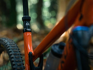 PNW Components Loam Dropper Post - The Lost Co. - PNW Components - LDP309200B - 850005672739 - 30.9mm - 200mm