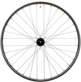 Stan's NoTubes Flow EX3 Rear Wheel - 29" - 12x148 - 6-Bolt - Micro Spline - The Lost Co. - Stan's No Tubes - H041848-11-29 - 847746061113 - -